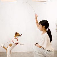 🐶😸 77汪喵分享交流星球🪐寵物友善餐廳/民宿/美食/時尚好物/手作/攝影