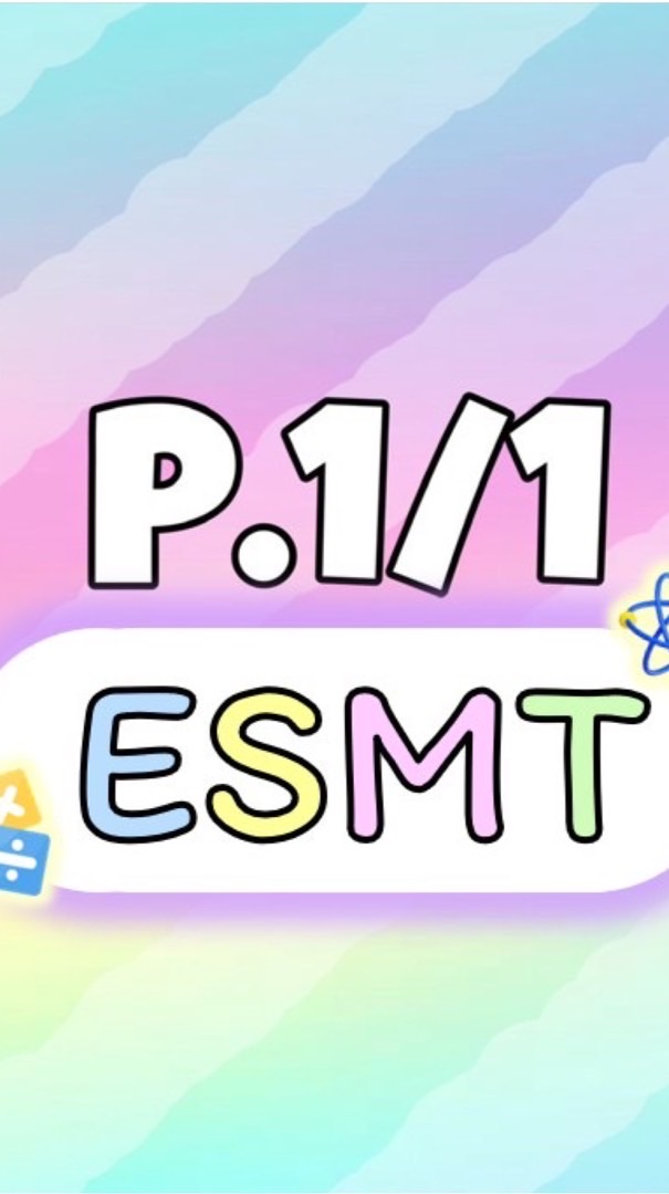 P.1/1🚀ESMT69