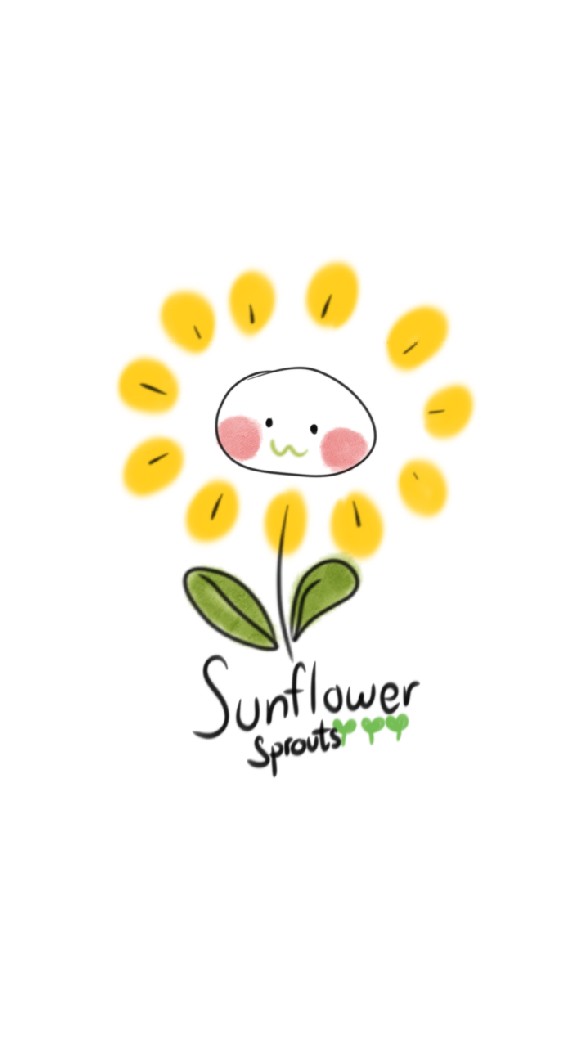 🌻 sunflower sprouts 🌻