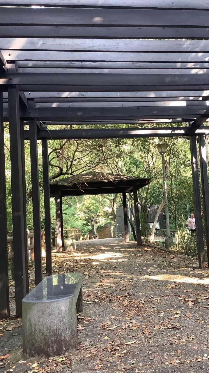 台灣菠菜社群（博奕產業）以程式開發和薪資討論為主