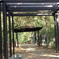 台灣菠菜社群（博奕產業）以程式開發和薪資討論為主