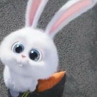 kf🐰