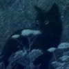色々な世界を塗り替えて