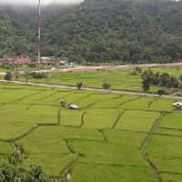 กลุ่มกล่อง ศก.แพร่1 แพร่3 แพร่4