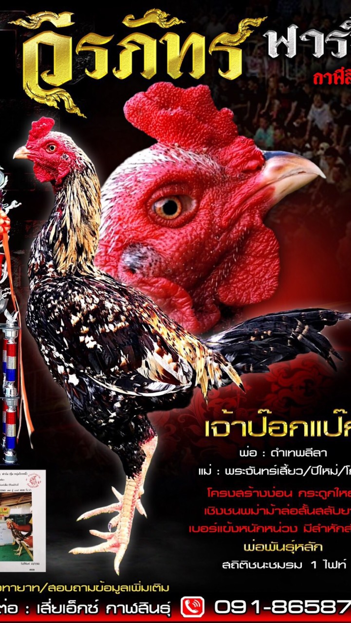 วีรภัทร ฟาร์ม
