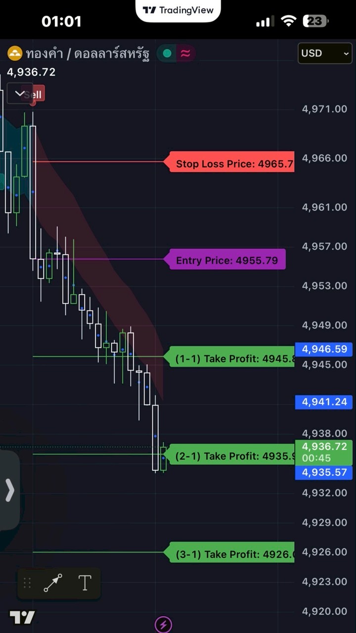 Reversal indicator trading