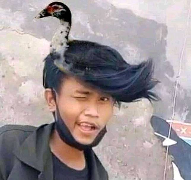 Siap Grak 10 Potret Lucu Editan Gaya Rambut Begini Absurdnya Membuat Cekikikan