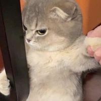 うさ子ナマポぬくぬく生活
