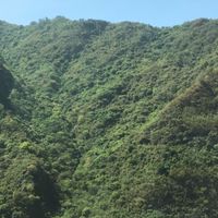 **樂桃桃世界快樂遊