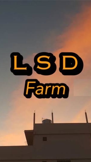 LSDFarm BKK in TH🤝 OpenChat