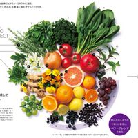 赤間Gケトジェニック
