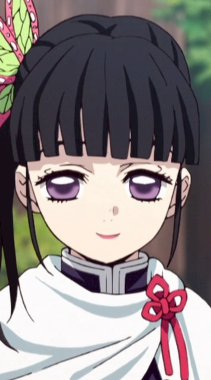 胡蝶三姉妹大好き（鬼滅の刃大好き）