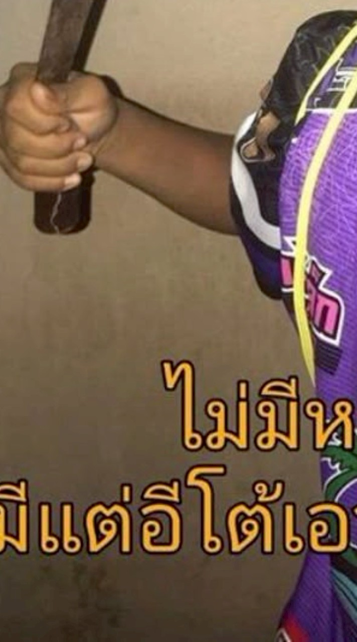 บัดดี้เด้อบัด MEP 1/14 sk.