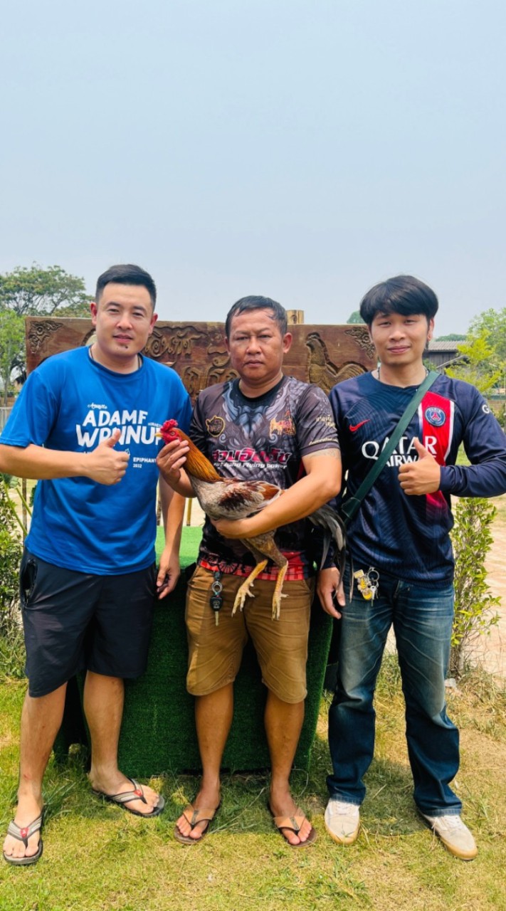 🐓ซุ้ม เฮง เฮง โมดิฟายด์🐔 (เชียงใหม่)