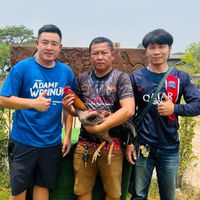 🐓ซุ้ม เฮง เฮง โมดิฟายด์🐔 (เชียงใหม่)