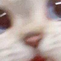 防忘記