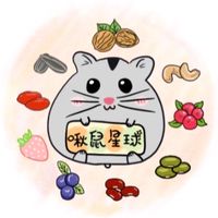 🐹啾鼠星球🐹