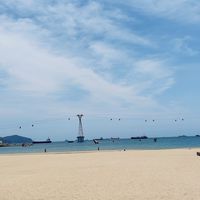 美麗國邦古惑人生