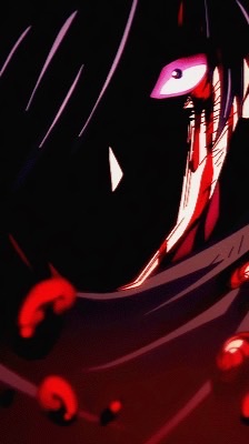 絶対王政オプ