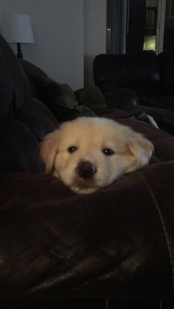 codeluxx by. มูนา