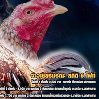 ซุ้มแผ่นดินเย็นฟาร์ม 101
