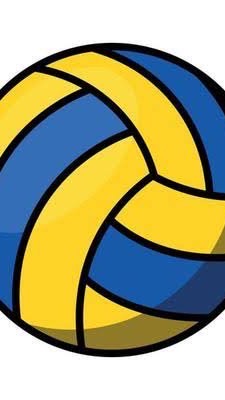 NIS Parents Volleyball team