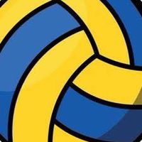 NIS Parents Volleyball team