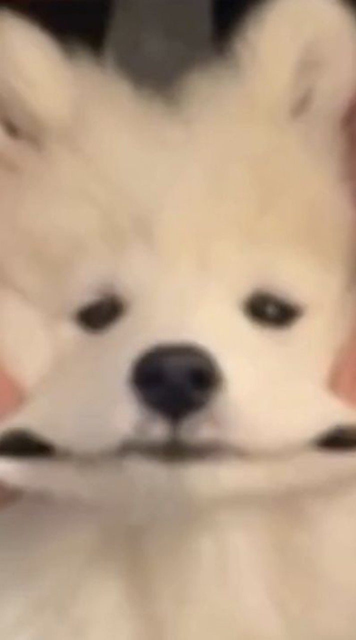 ผมเอาไว้คุยคนเดียว
