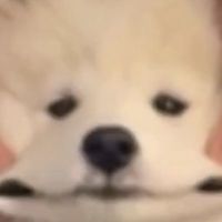 ผมเอาไว้คุยคนเดียว