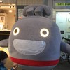 東急線沿線 2019ベビーママ&プレママ