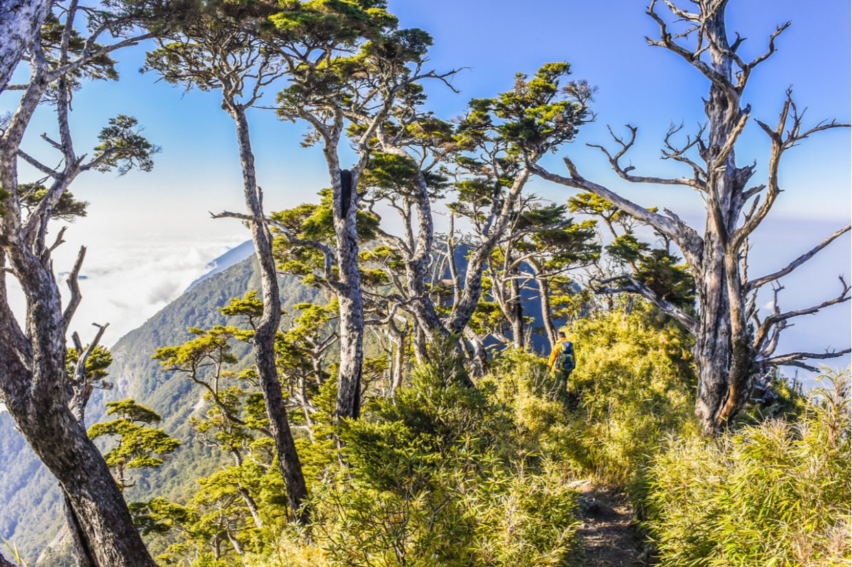屏東「拾美步道群」介紹｜屏東10條森林秘境登山步道介紹看這篇