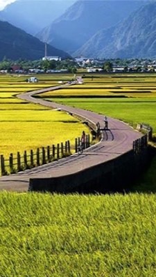 📻東馬病友團體活動速報