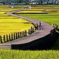 📻東馬病友團體活動速報