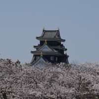 🍑AIアバター/スズバース/被害者の会in岡山🍑その他詐欺被害、雑談可