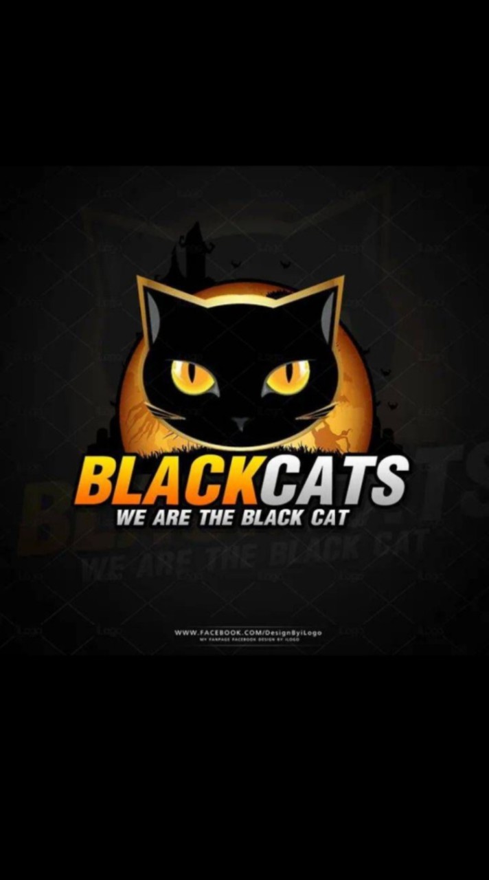 BLACK CAT