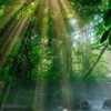 【安定型ゴールドEA運用報告】サスティナEAシリーズ🌿