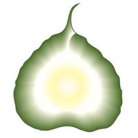 㵾光文化藝術基金會玄光通官網QingOBQ