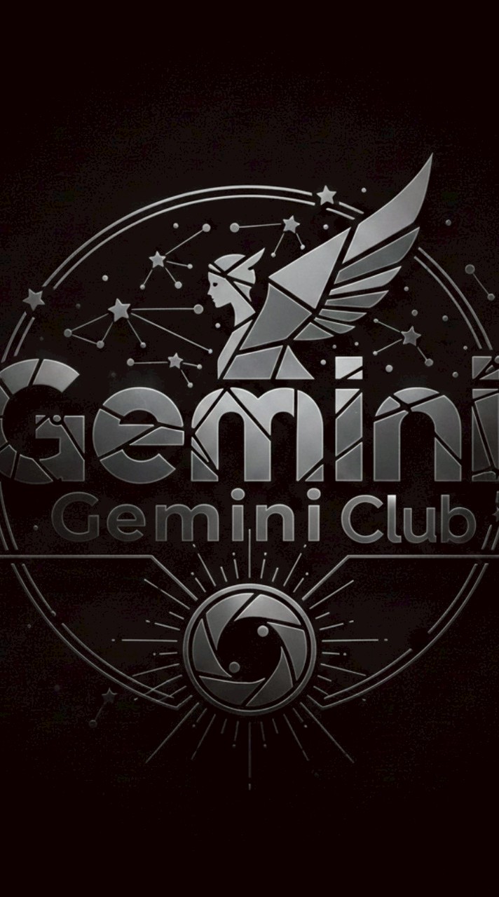 คำสั่ง Gemini