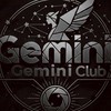 คำสั่ง Gemini