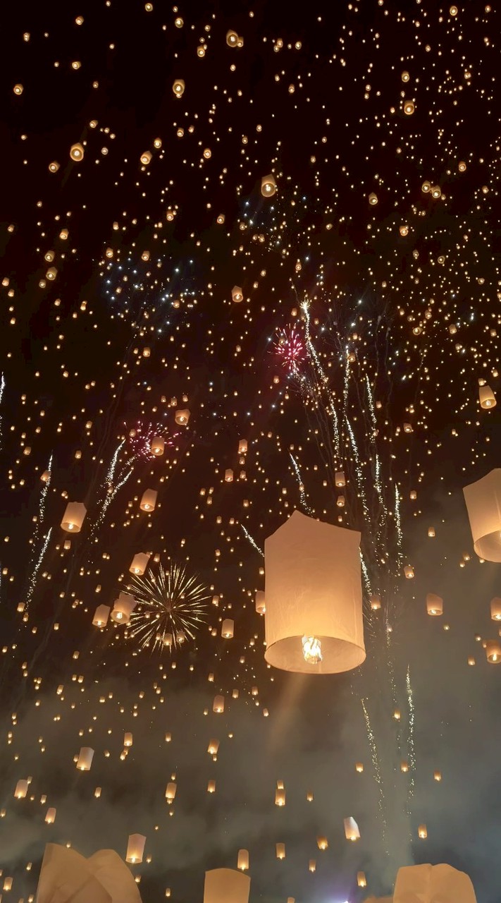 New Moomint Travel Service Team