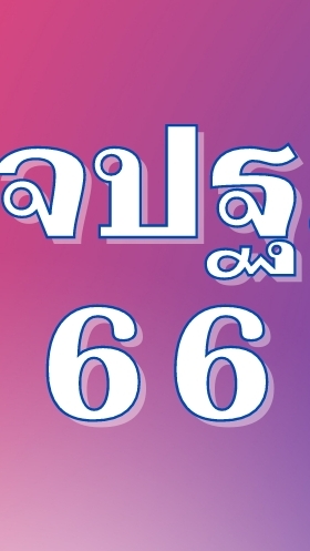 อาสาสมัครผู้จัดเก็บ จปฐ 66