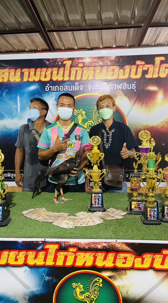 บ้านสวนพารวย