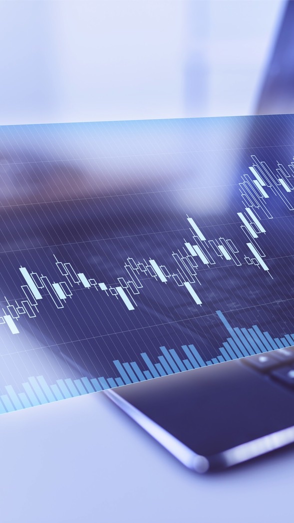FX_IDS自動売買