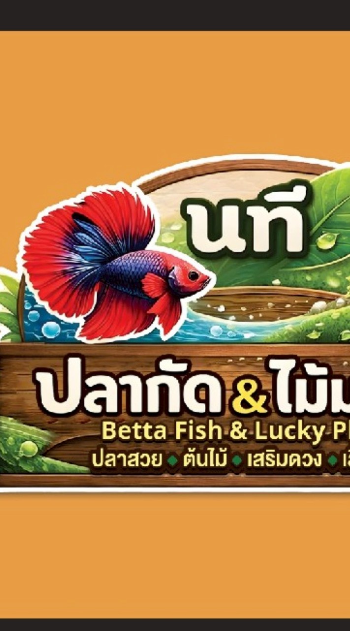 นที ปลากัด&ไม้มงคล #ไม้มงคลบ้านตัวเล็ก