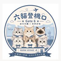六貓登機口🐈6/2-6/5首爾代購