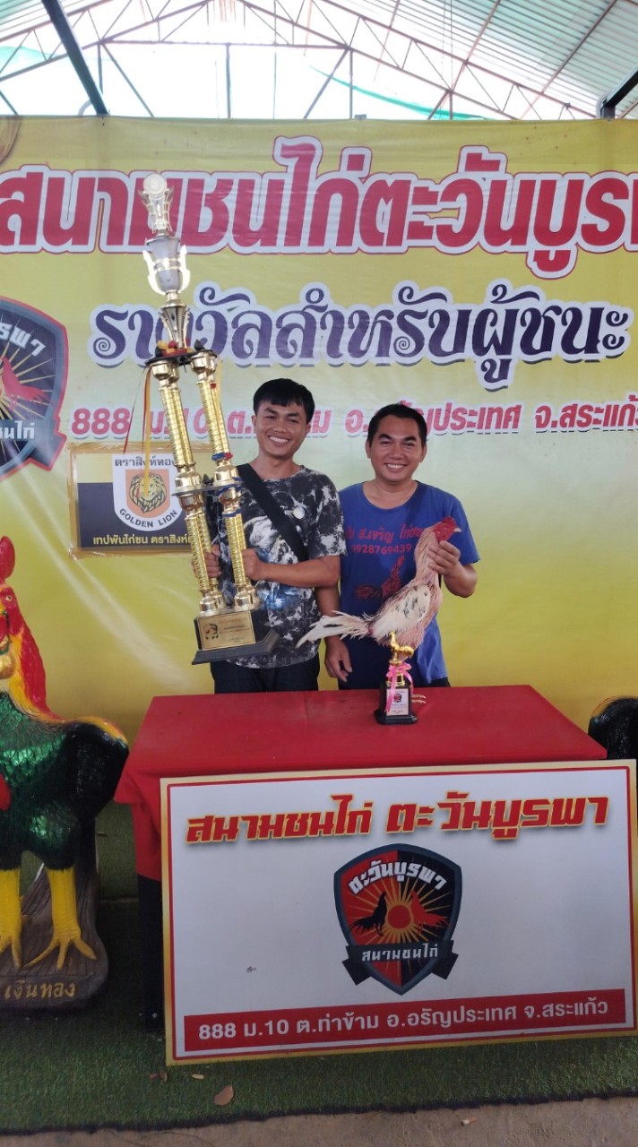 โก๋กาด🐓🐣