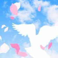 新規オープン✨大阪発　40代〜50代 関西  雑談 一期一会を大切に❣️あなたに見つけて欲しかった✨
