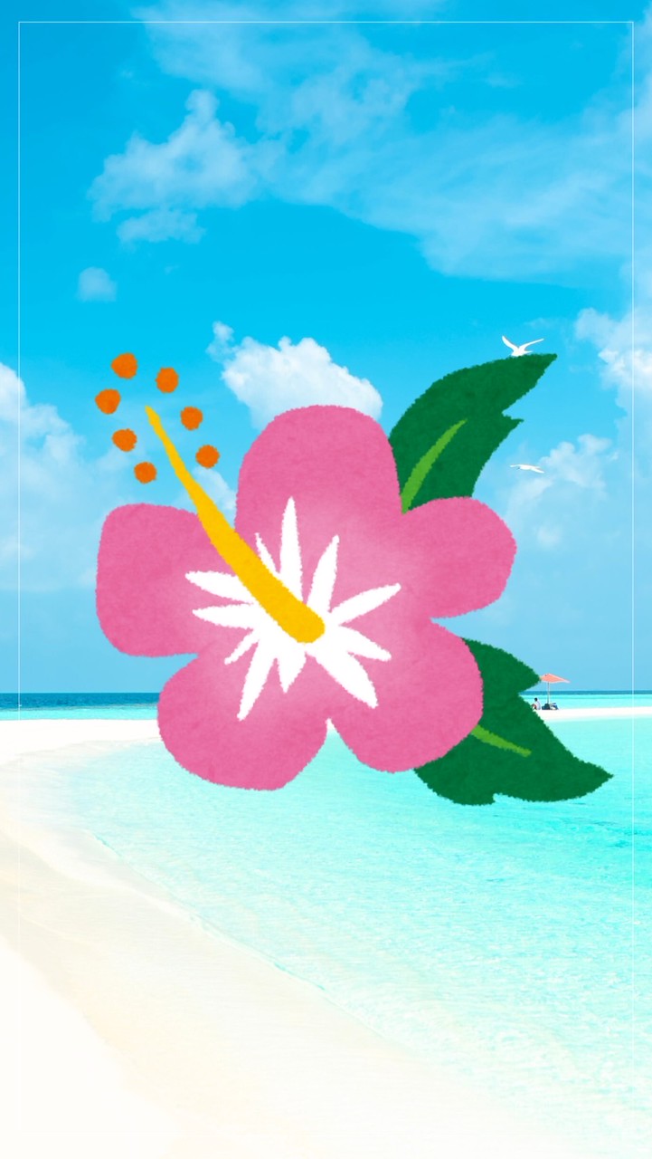 🌺shiningスマイルcare🌺