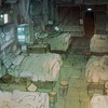 【 実況者也 】 獣化病棟・第?¿隔離施設 --- 。