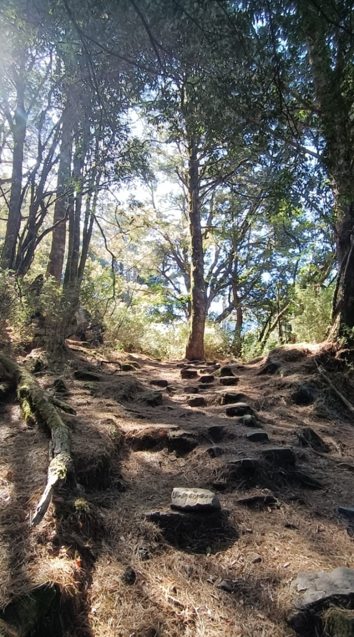 都市 eBird 賞鳥資料庫
